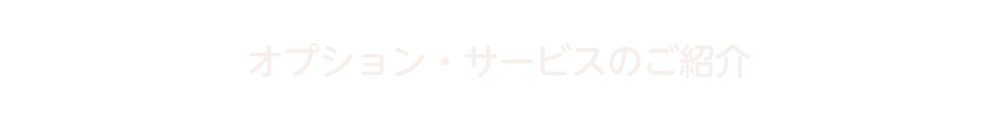 オプション・サービスのご案内